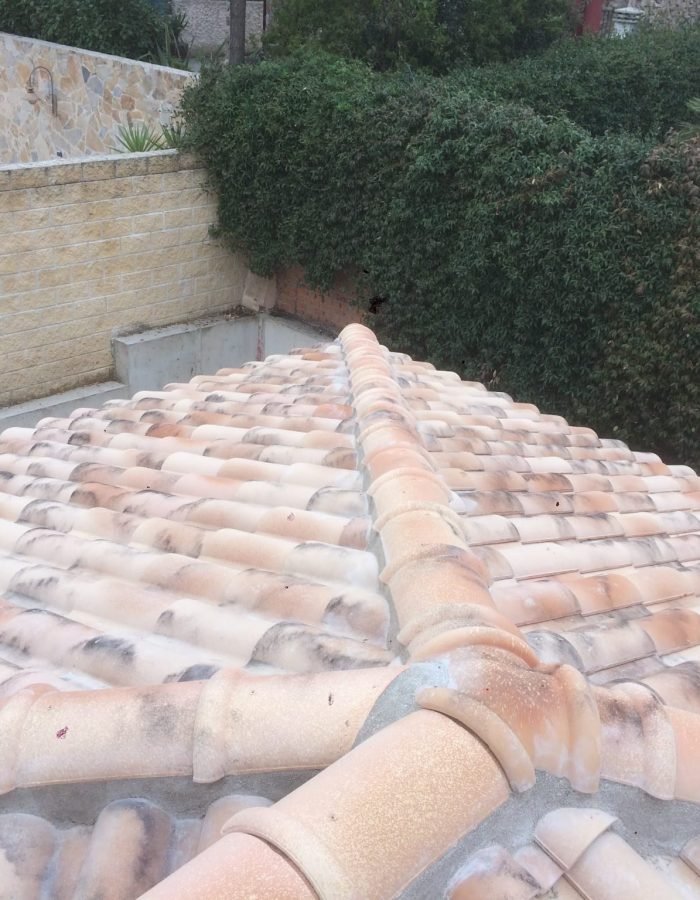 50f87923-1bd1-4aaf-9063-d1afd60fa002